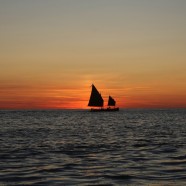 cervia-(19)