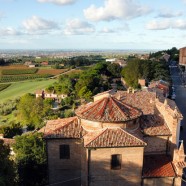 longiano_pic5
