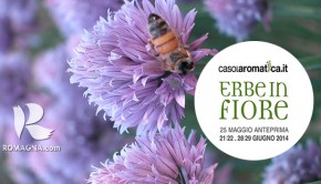 erbe in fiore