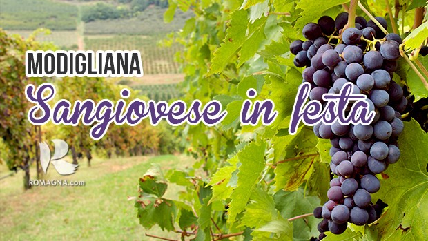 Sangiovese