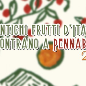 antichi-frutti-pennabilli