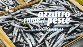 azzurro-comeilpesce