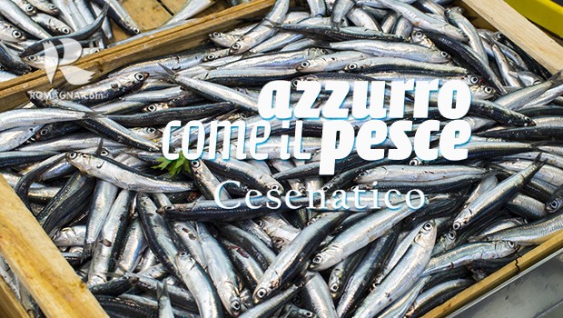 azzurro-comeilpesce