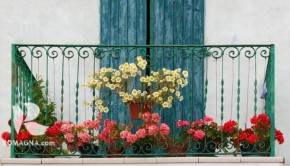 balconi-fioriti