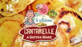 cantarelle-a-gatteo-mare