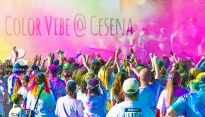 color vibe