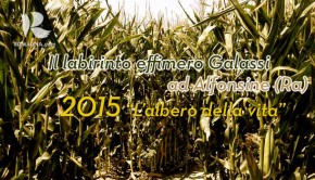 labirinto-effimero-Galassi-2015