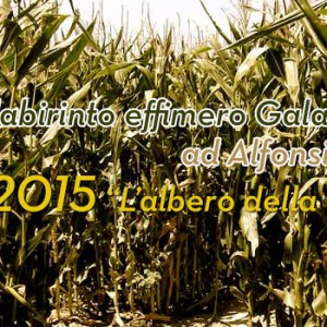 labirinto-effimero-Galassi-2015