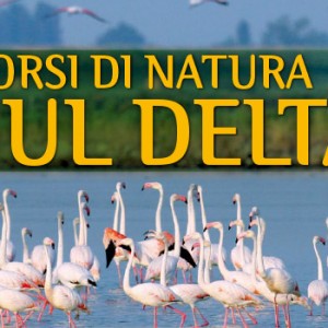 percorsi-di-natura-sul-delta