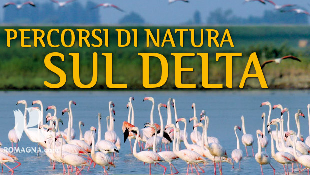 percorsi-di-natura-sul-delta