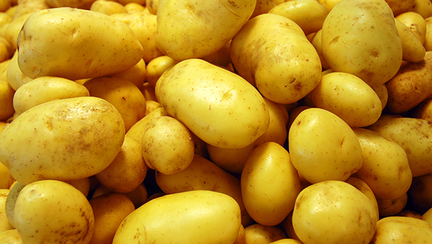 potato-2