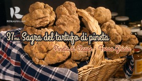 sagra-del-tartufo-di-pineta