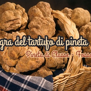 sagra-del-tartufo-di-pineta