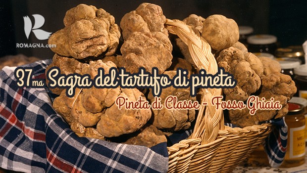 sagra-del-tartufo-di-pineta