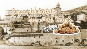 tartufo-cusercoli